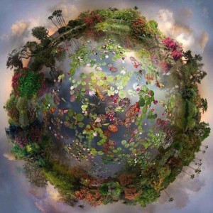 madre-terra